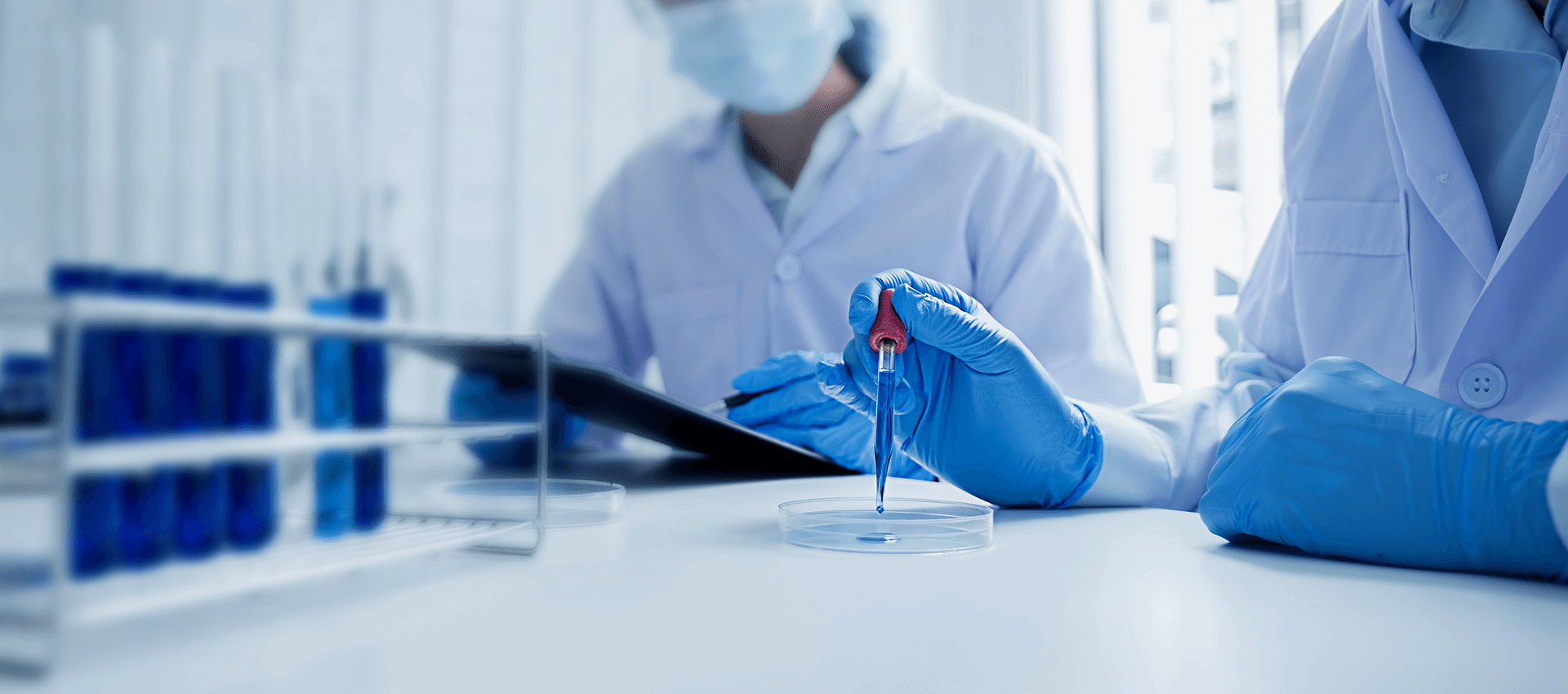 防测序加密培养基